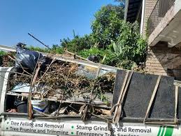Best Property Management Cleanouts  in Traer, IA