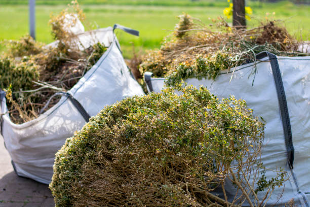 Best Estate Cleanout  in Traer, IA
